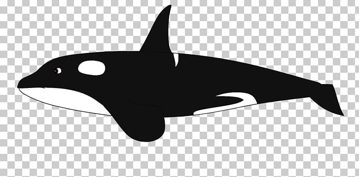 Dolphin Killer Whale Cetacea Baleen Whale PNG, Clipart, Animal, Animals, Baleen Whale, Black And White, Blue Whale Free PNG Download