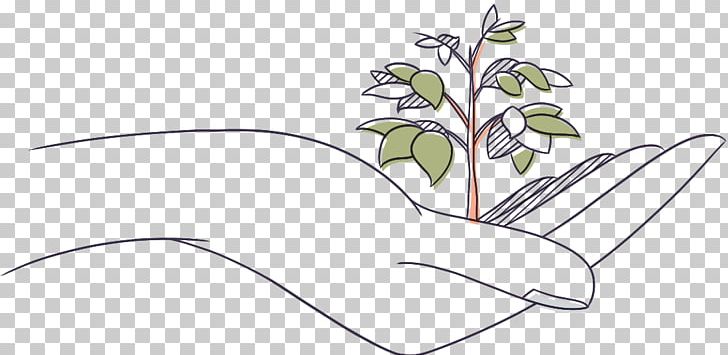 Drawing Line Art PNG, Clipart, Angle, Area, Art, Beak, Bird Free PNG Download