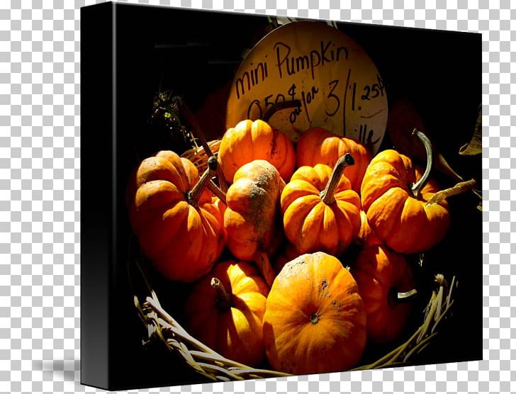 Jack-o'-lantern Calabaza Winter Squash Gourd Pumpkin PNG, Clipart,  Free PNG Download