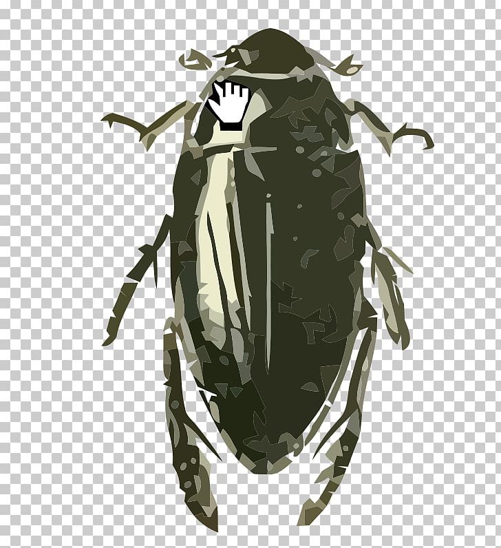 Beetle Hydrophilus Triangularis PNG, Clipart, Arthropod, Beetle, Bumblebee, Computer Icons, Hexapoda Free PNG Download