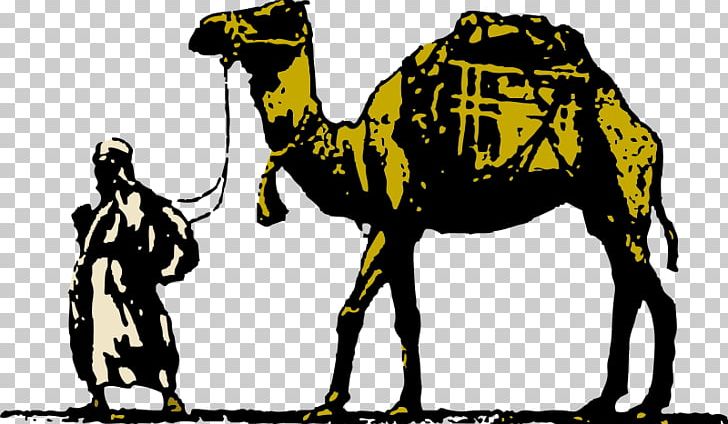 Dromedary Free Content PNG, Clipart, Arabian Camel, Camel, Camel Football Cliparts, Camel Like Mammal, Download Free PNG Download