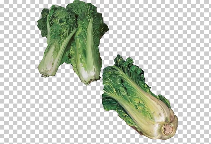 Romaine Lettuce Spring Greens Napa Cabbage PNG, Clipart, Blue, Cabbage, Chard, Chinese, Chinese Cabbage Free PNG Download