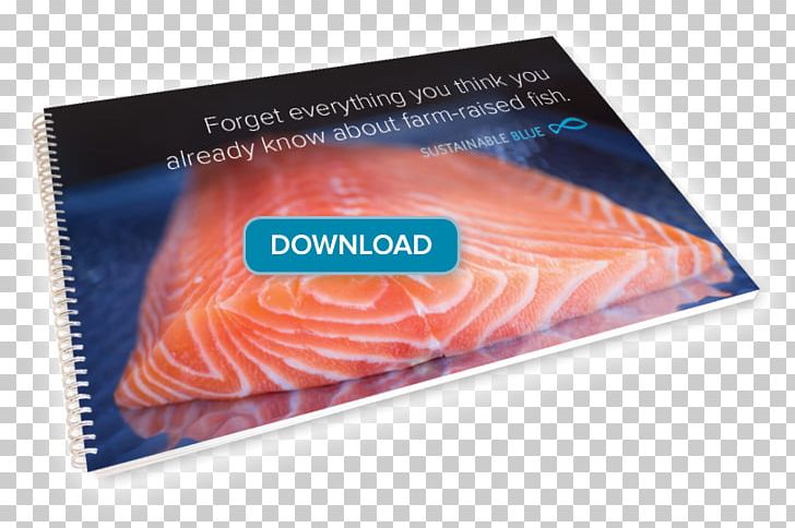 Sustainability Bay Of Fundy Fish Salmon As Food PNG, Clipart, Bay, Brand, Brochure, Canada, Fish Free PNG Download