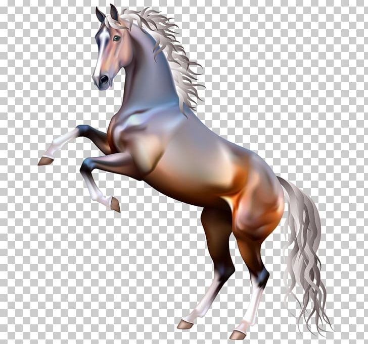 Arabian Horse American Paint Horse Mustang Rearing White PNG, Clipart, Animal Figure, Arabian Horse, Bay, Black, Collection Free PNG Download