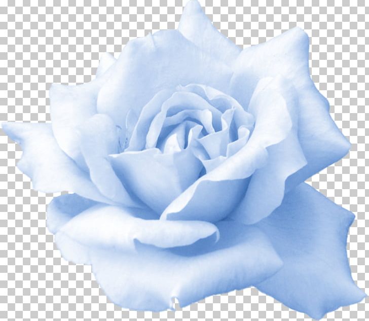 Butterfly Rose Artificial Flower Desktop PNG, Clipart, Artificial Flower, Blue, Blue Rose, Butterfly, Cut Flowers Free PNG Download