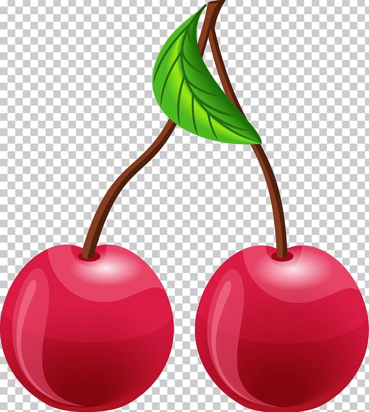Cherry Cake Red PNG, Clipart, Apple, Auglis, Branch, Cherry, Cherry Blossom Free PNG Download