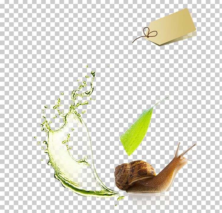 Detergent Toilet Cleaner Liquid Cleaning Agent PNG, Clipart, Alibaba Group, Animals, Bb Cream, Christmas Decoration, Cream Free PNG Download