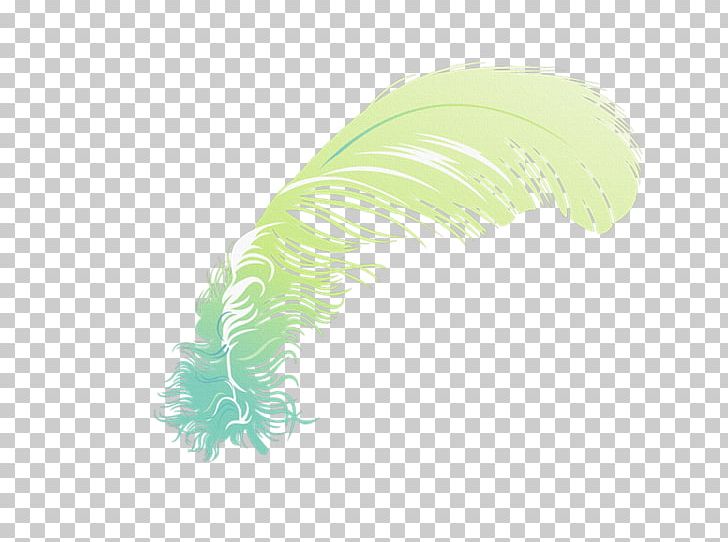 Feather PNG, Clipart, Feather, Green, Plumas, Quill Free PNG Download