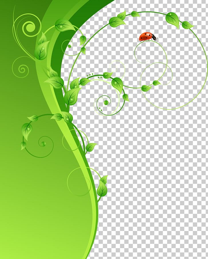 Green Ladybird PNG, Clipart, Color, Decorative Patterns, Download, Drawing, Encapsulated Postscript Free PNG Download