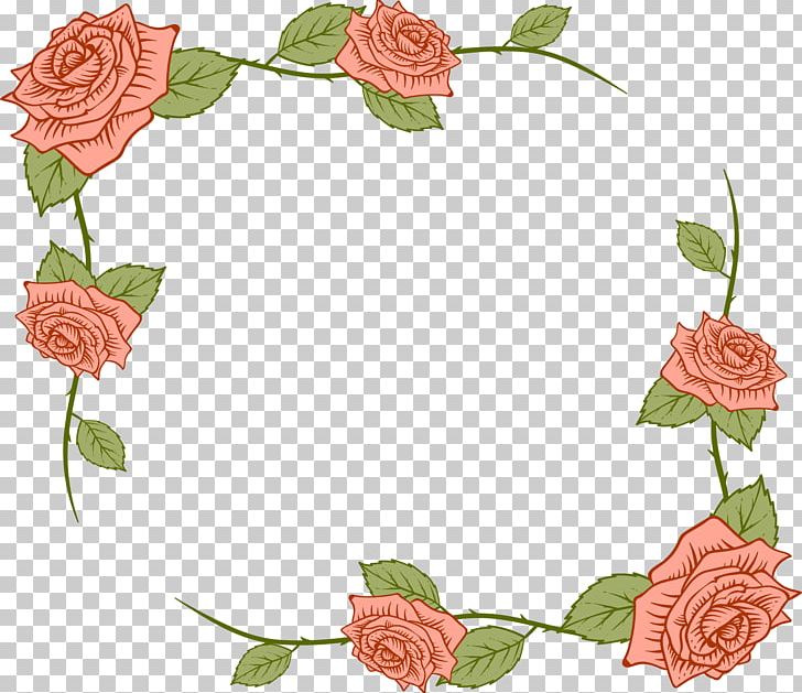 Beach Rose Flower Euclidean PNG, Clipart, Border, Flower Arranging, Flowers, Leaf, Painted Vector Free PNG Download