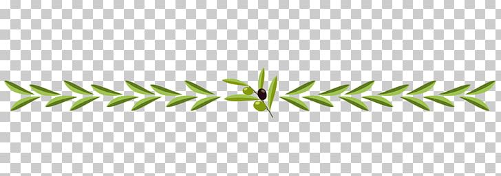 Line Grasses Angle Plant Stem PNG, Clipart, Angle, Art, Branch, Branching, Family Free PNG Download