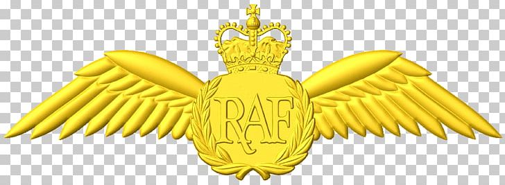Portable Network Graphics Aircraft Pilot Royal Air Force Desktop PNG, Clipart, Badge, Beak, Desktop Wallpaper, Emblem, Gold Free PNG Download