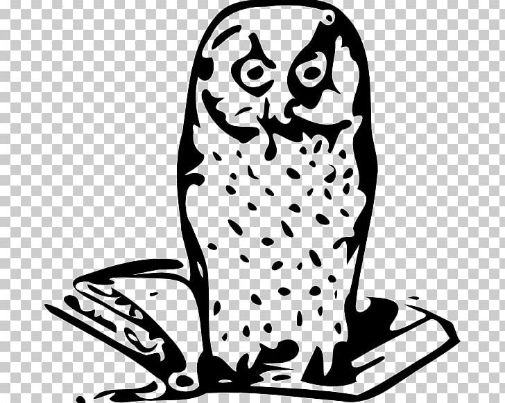 Computer Icons Owl PNG, Clipart, Animals, Artwork, Beak, Bird, Bird Of Prey Free PNG Download