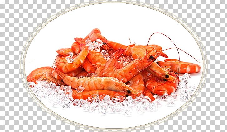 Prawns Giant Tiger Prawn Seafood Shrimp PNG, Clipart, Alaskan Pink Shrimp, Animals, Animal Source Foods, Caridean Shrimp, Decapoda Free PNG Download