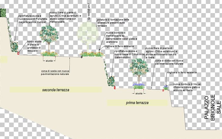 Tree Map Tuberculosis PNG, Clipart, Area, Diagram, Galliera, Map, Nature Free PNG Download