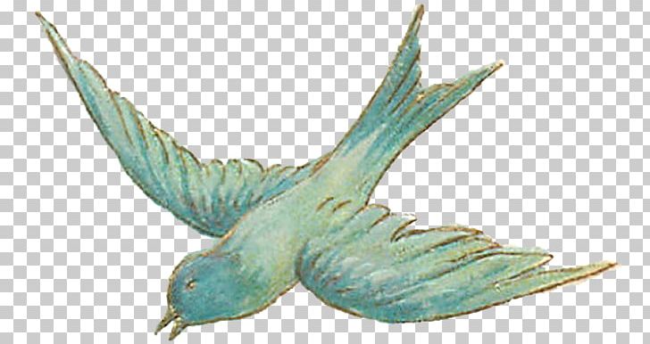 Bird Sketch PNG, Clipart, Animal, Beak, Bird, Bird Illustration, Bts Free PNG Download