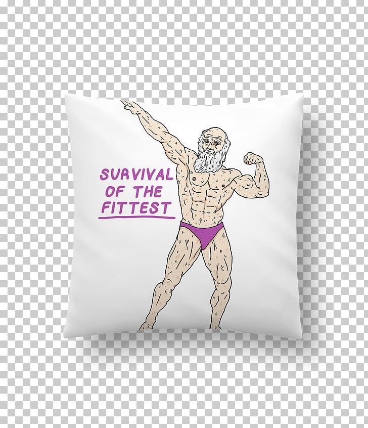 Cushion Throw Pillows France Design PNG, Clipart, Art, Bathrobe, Cushion, Embroidery, Evolution Free PNG Download