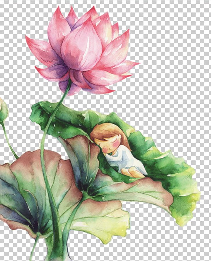 Watercolor Painting Nelumbo Nucifera Landscape Painting PNG, Clipart, Aquatic Plant, Artificial Flower, Child, Chinese Style, Color Free PNG Download