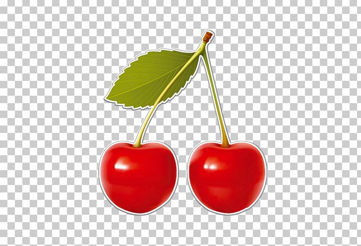 Barbados Cherry Food PNG, Clipart, Barbados Cherry, Berry, Cherry, Cherry Vector, Depositphotos Free PNG Download