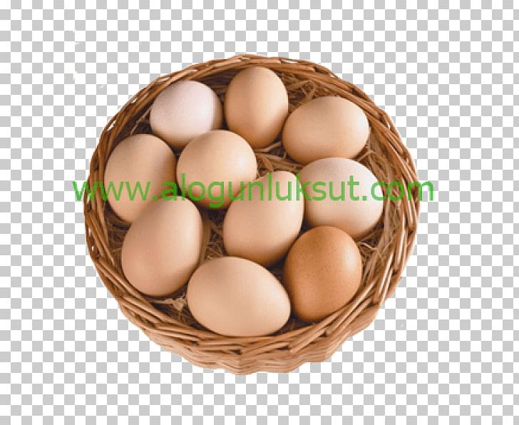 Chicken Egg Brahma Chicken Food Service PNG, Clipart, Agriculture, Brahma Chicken, Business, Chicken, Chicken Egg Free PNG Download