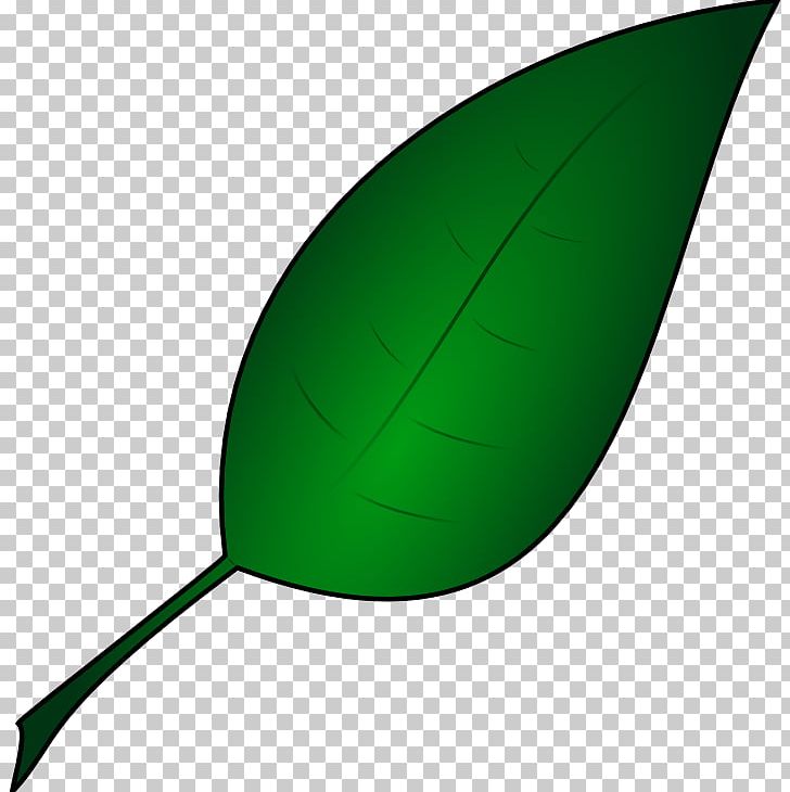 Leaf Product Design PNG, Clipart, Grass, Green, Leaf, Plant Free PNG Download