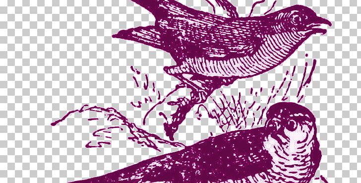 Bird Beak PNG, Clipart, Art, Aves, Beak, Bird, Bird Of Prey Free PNG Download