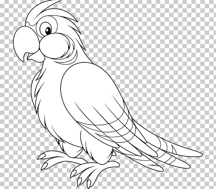 Parrot Bird Black And White PNG, Clipart, Animals, Artwork, Beak, Bird, Black And White Free PNG Download