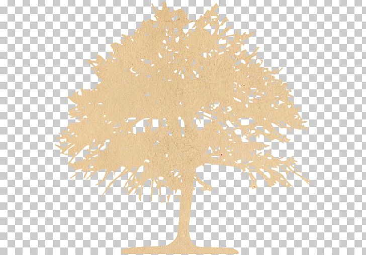 Tree Lawn Vets Swindon Computer Icons PNG, Clipart, Branch, Computer Icons, Lawn Vets Swindon, Leaf, Line Free PNG Download