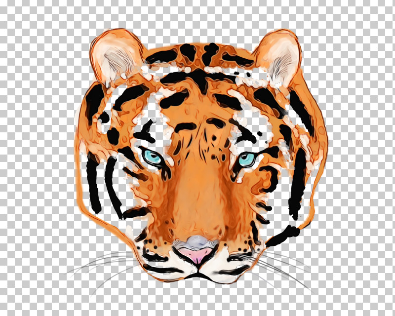 Tiger Whiskers Cat Snout Wildlife PNG, Clipart, Cat, Paint, Snout, Tiger, Watercolor Free PNG Download