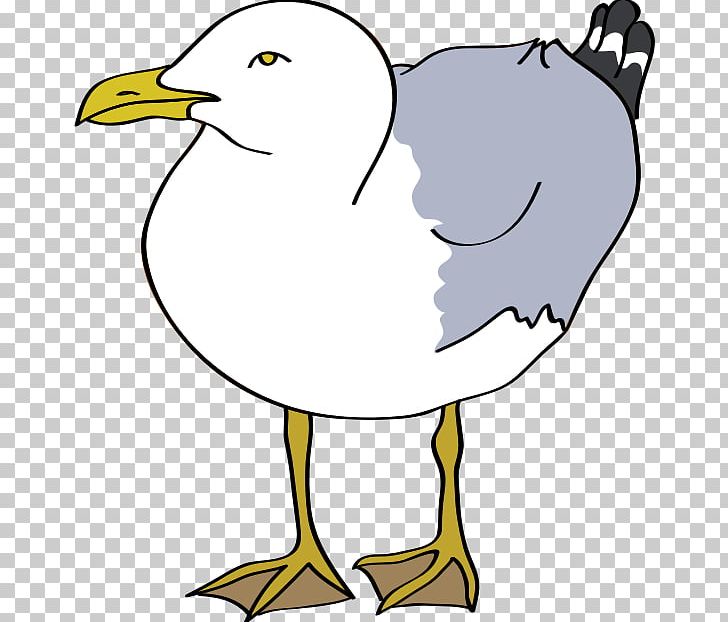 Bird European Herring Gull Common Gull PNG, Clipart, Animals, Area, Artwork, Beak, Bird Free PNG Download