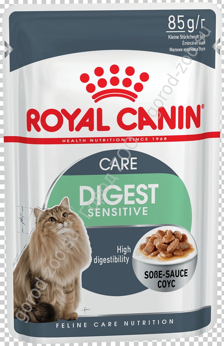 Cat Food Dog Kitten Royal Canin PNG, Clipart, Animals, Cat, Cat Food, Cat Supply, Dog Free PNG Download