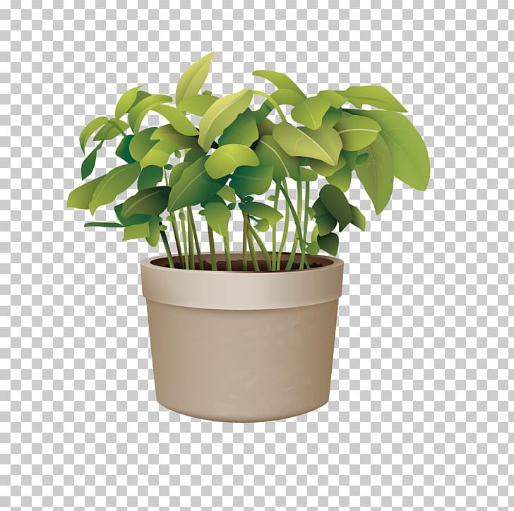 Flowerpot Plant PNG, Clipart, Encapsulated Postscript, Flower Pot, Garden, Green Apple, Green Tea Free PNG Download