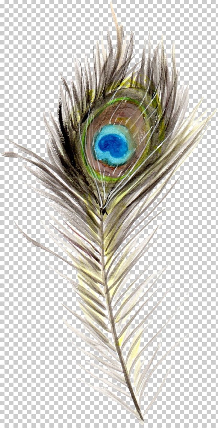 Bird Feather Boho-chic Quill PNG, Clipart, Animal, Animals, Bird, Bohochic, Boho Chic Free PNG Download