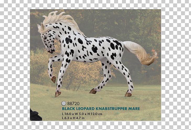 Cheetah Knabstrupper Mare Andalusian Horse Appaloosa PNG, Clipart, Animal, Animals, Big Cats, Breed, Breyer Animal Creations Free PNG Download