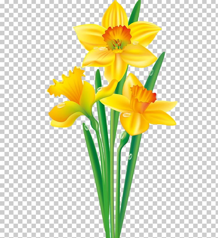 Daffodil Flower I Wandered Lonely As A Cloud Tulip PNG, Clipart, Amaryllidaceae, Amaryllis Family, Art, Cut Flowers, Daffodil Free PNG Download