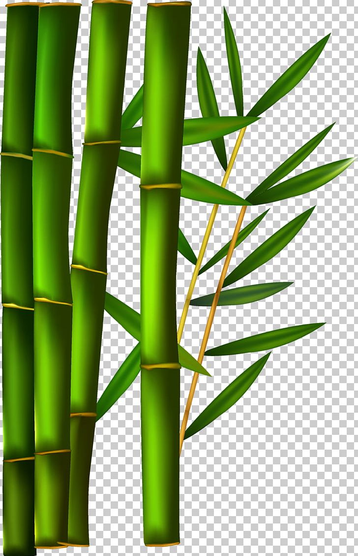 Paper Bamboo PNG, Clipart, Background Green, Bamboo, Bamboo Leaves, Bamboo Vector, Color Free PNG Download