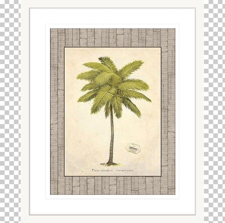 Tree Coconut Woody Plant Plants Date Palm PNG, Clipart, Arecales, Art, Cat Palm, Coconut, Date Palm Free PNG Download