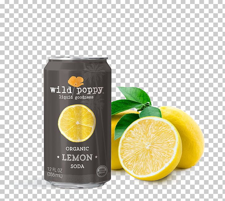 Lemon-lime Drink Juice Fizzy Drinks Lemonade PNG, Clipart, Beverage Can, Citric Acid, Citrus, Drink, Fizzy Drinks Free PNG Download