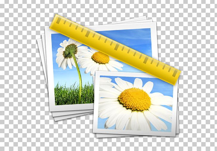 Lossless Compression Computer Software MacOS ISO PNG, Clipart, Apple, Archive File, Computer Software, Download, Flower Free PNG Download
