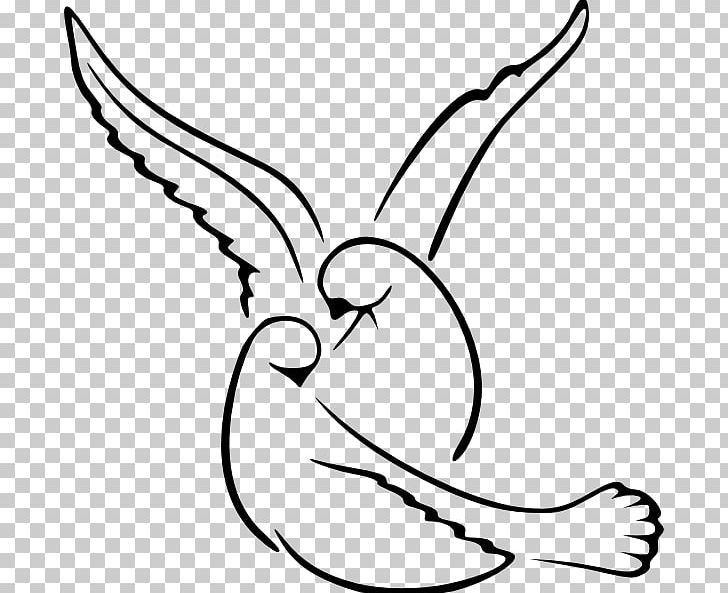 Lovebird Columbidae Drawing PNG, Clipart, Animals, Art, Art Museum, Artwork, Beak Free PNG Download