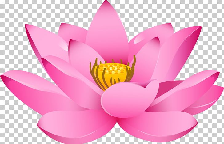 Nelumbo Nucifera Drawing Padma PNG, Clipart, Aquatic Plant, Encapsulated Postscript, Flower, Happy Birthday Vector Images, Lotus Free PNG Download