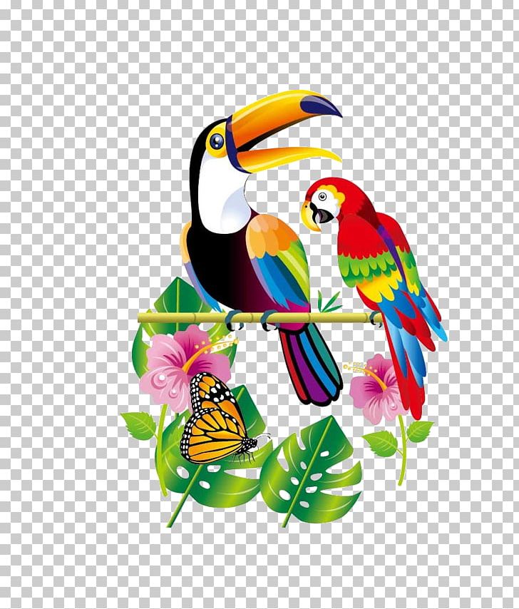Parrot Bird Toucan PNG, Clipart, Animals, Art, Beak, Bird, Birds Free PNG Download