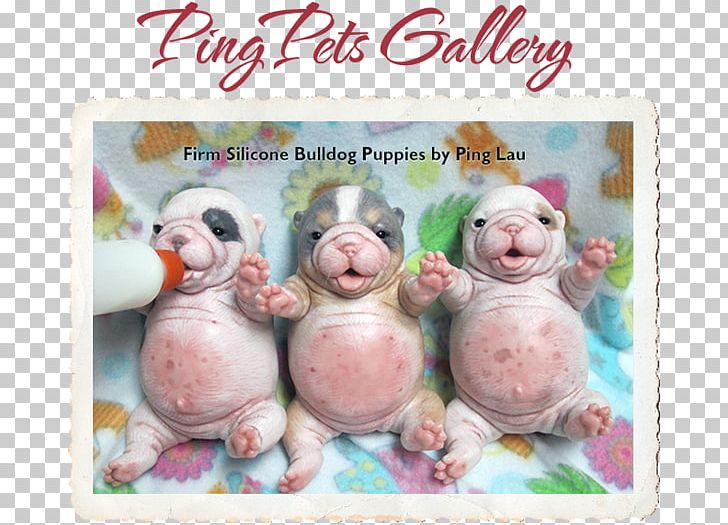 Pig Stuffed Animals & Cuddly Toys Pink M Easter Romans 8 PNG, Clipart, Animals, Easter, Pig, Pig Like Mammal, Pink Free PNG Download