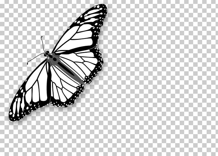 coloring book monarch butterfly png clipart adult