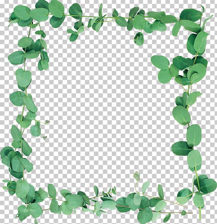 Frames Information PNG, Clipart, Art, Border Frames, Branch, Digital Photo Frame, Download Free PNG Download