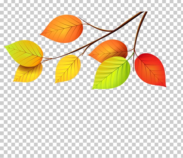 Leaf PNG, Clipart, Autumn, Autumn Leaf Color, Flower, Information, Knowledge Day Free PNG Download