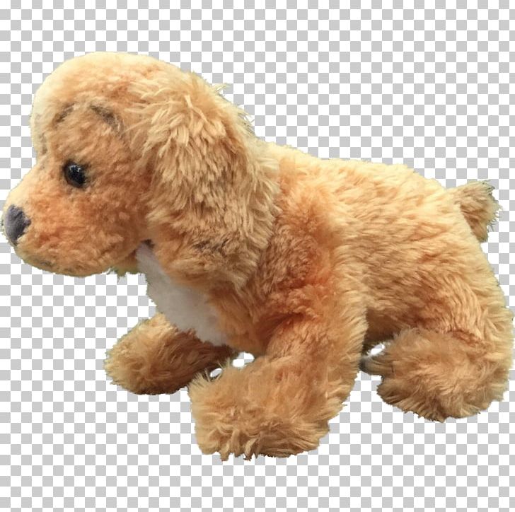 Miniature Poodle Toy Poodle Spanish Water Dog Standard Poodle PNG, Clipart, Animal, Animals, Canidae, Carnivora, Carnivoran Free PNG Download