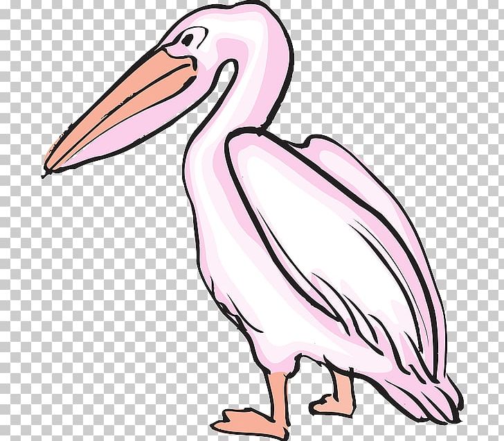 Pelican Drawing PNG, Clipart, Animal Figure, Art, Artwork, Beak, Bird Free PNG Download