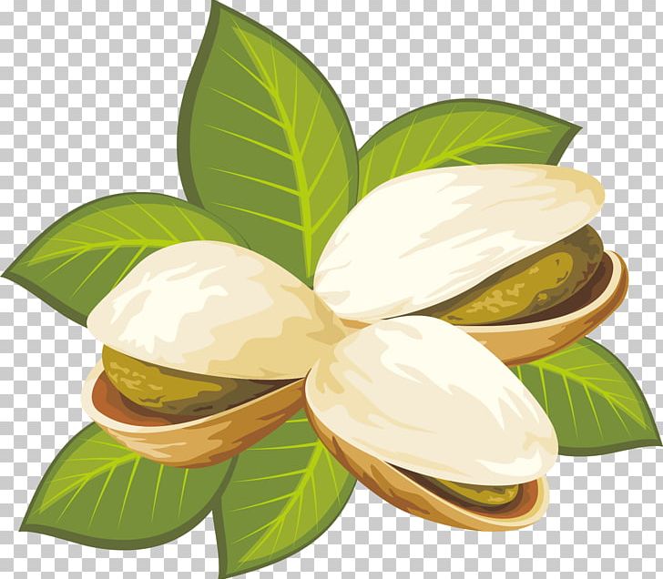 Pistachio Nut Stock Illustration PNG, Clipart, Chinese New Year, Drawing, Euclidean Vector, Flavor, Fotosearch Free PNG Download