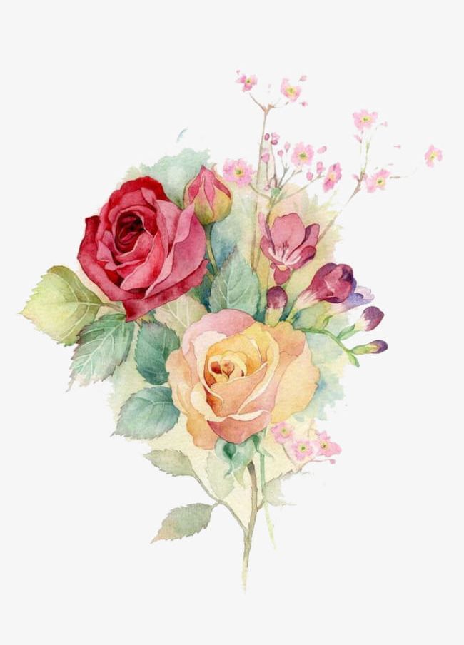 Watercolor Flowers PNG, Clipart, Autumn, Beginning, Cartoon, Decorate, Flower Free PNG Download